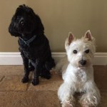 View Gallery Image #4