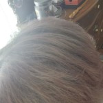 View Gallery Image #5