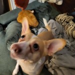 View Gallery Image #6