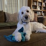 View Gallery Image #8