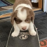 View Gallery Image #9