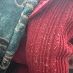 View Gallery Image #6