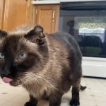 View Gallery Image #4