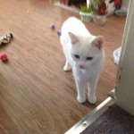 View Gallery Image #4