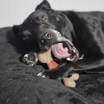 View Gallery Image #2