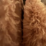 View Gallery Image #3