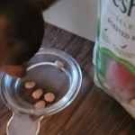 View Gallery Image #5