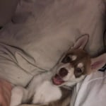 View Gallery Image #15