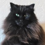 View Gallery Image #4