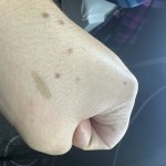 View Gallery Image #3