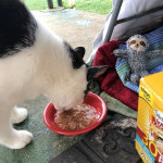 View Gallery Image #12