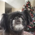 View Gallery Image #10