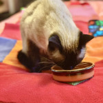 View Gallery Image #3