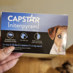 Capstar for sale dogs petco