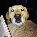 View Gallery Image #14