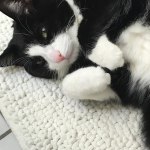 View Gallery Image #4