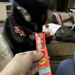 View Gallery Image #4