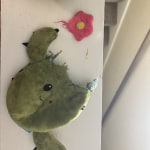 View Gallery Image #14