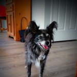 View Gallery Image #4