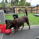 View Gallery Image #9