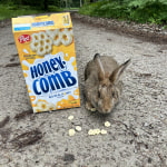 View Gallery Image #8