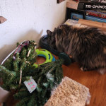 View Gallery Image #5