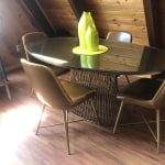 Bi cast leather hotsell molded tyler dining chair