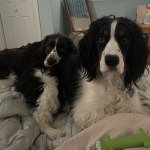 View Gallery Image #6