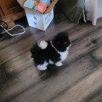 View Gallery Image #3