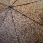 View Gallery Image #2