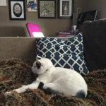 View Gallery Image #9