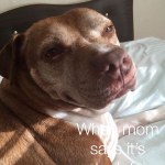 View Gallery Image #13