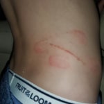 View Gallery Image #3