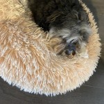 View Gallery Image #6