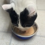 View Gallery Image #4