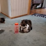 View Gallery Image #4