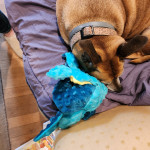 View Gallery Image #6