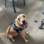 View Gallery Image #6