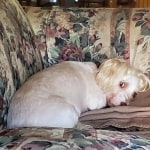 View Gallery Image #10