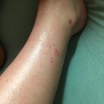 View Gallery Image #8