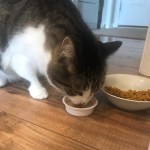 View Gallery Image #1