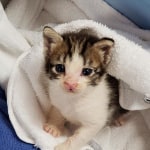 View Gallery Image #7