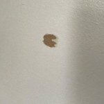 View Gallery Image #15