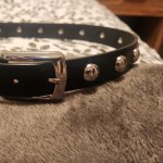 View Gallery Image #1