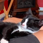 View Gallery Image #15