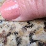 View Gallery Image #3