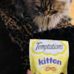 View Gallery Image #12