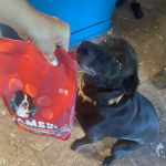 View Gallery Image #3