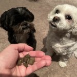 View Gallery Image #1