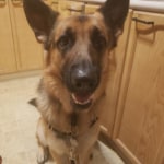 View Gallery Image #8